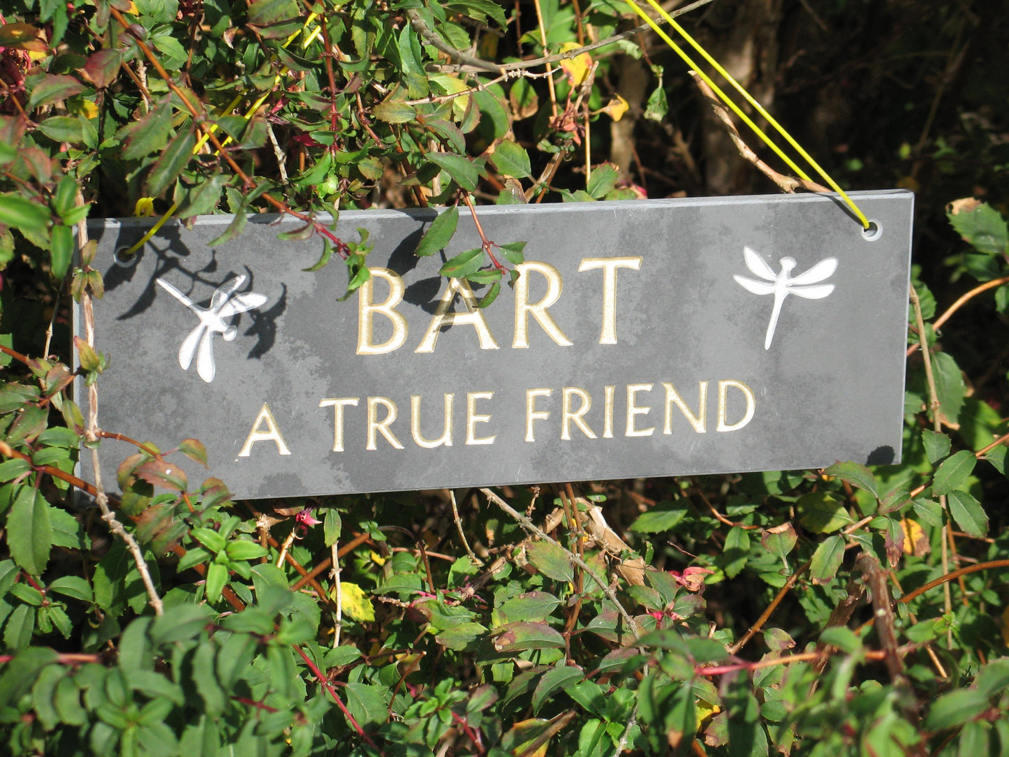 Slate 200x100mm Pet Memorial Plaque - COUNTY HOUSE SIGNS